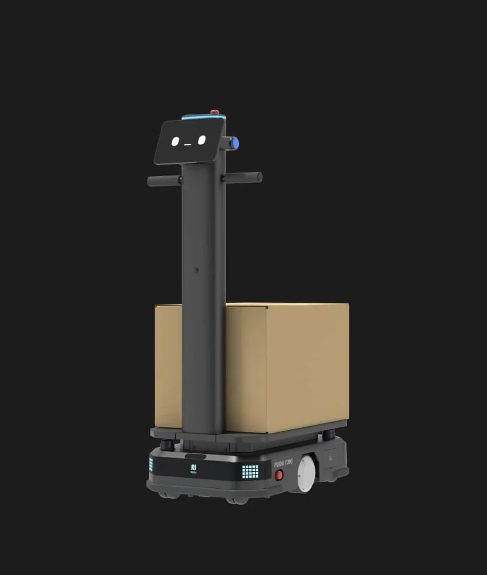 T300